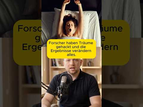 northwestern-traeume-lenken