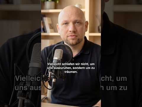 warum-wir-traeumen-overfitting