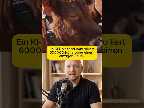 ki-halsband-kuehe