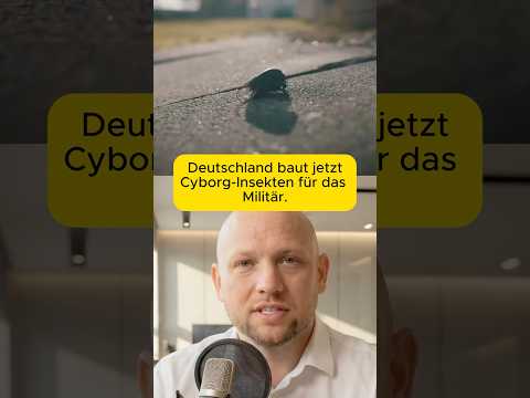 deutschland-cyborg-insekten